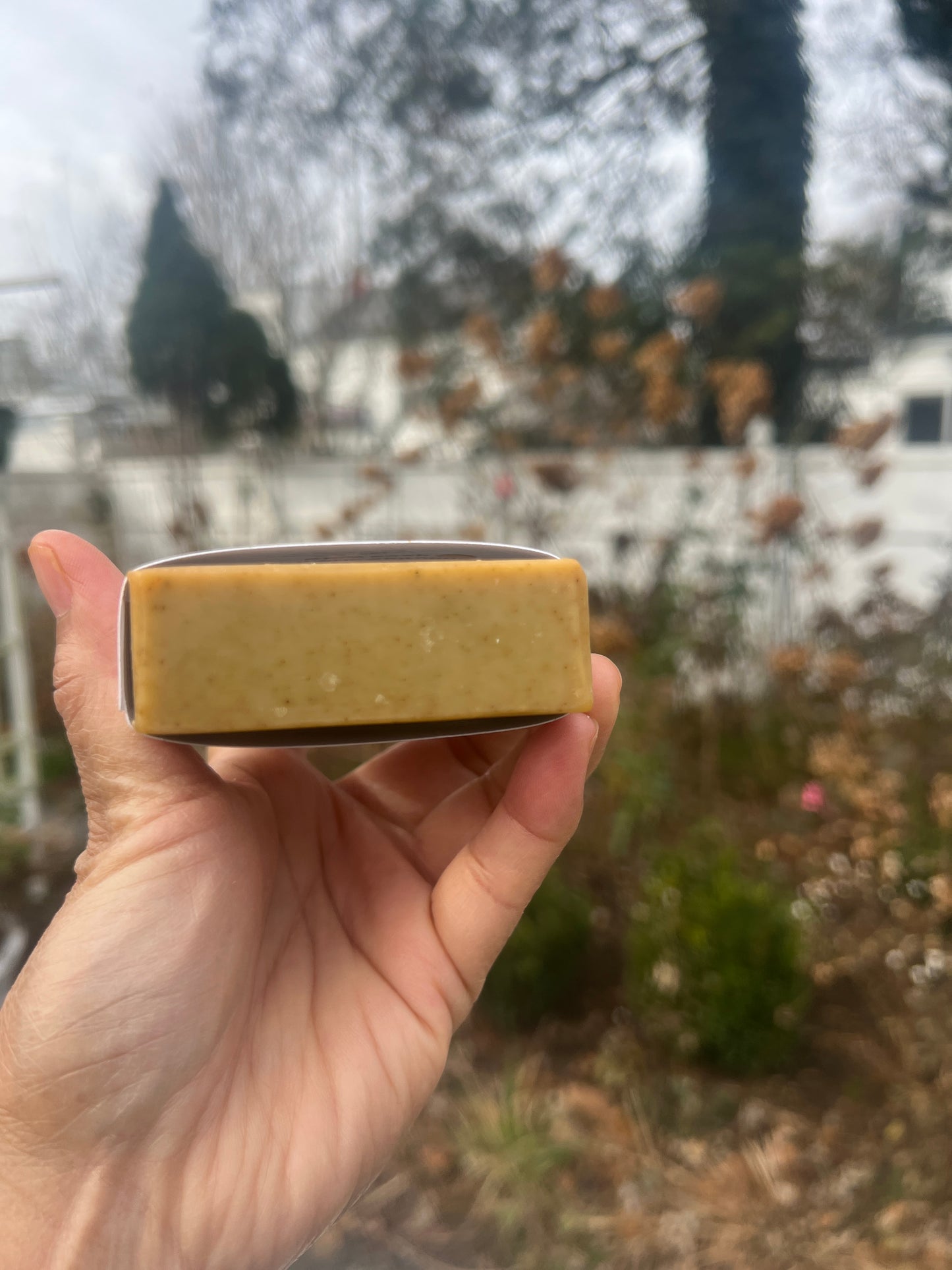 Turmeric Spirulina Glow Soap with Goat Milk