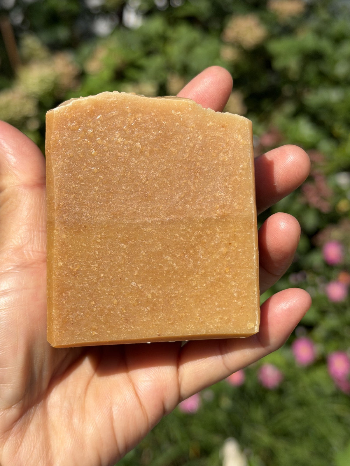Botanical Glow- Turmeric Papaya Kojic Soap